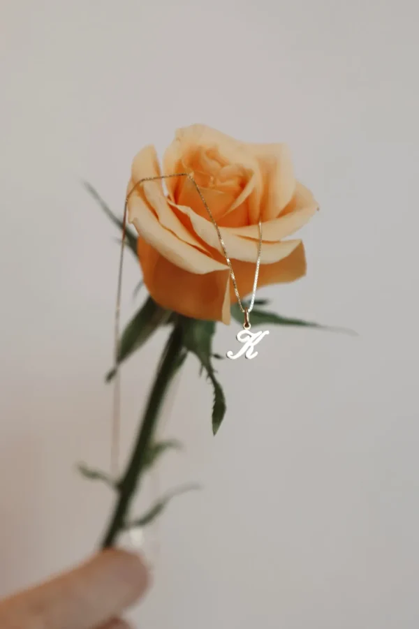 Mama Bijoux Mini 14k Gold Vintage Script Letter Charms Discount
